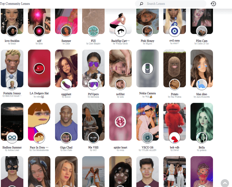 Best online meeting platforms-Snap Camera 濾鏡|Snap CameraFilter