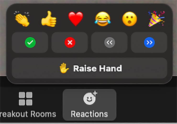 Best online meeting platforms-Zoom Emoji